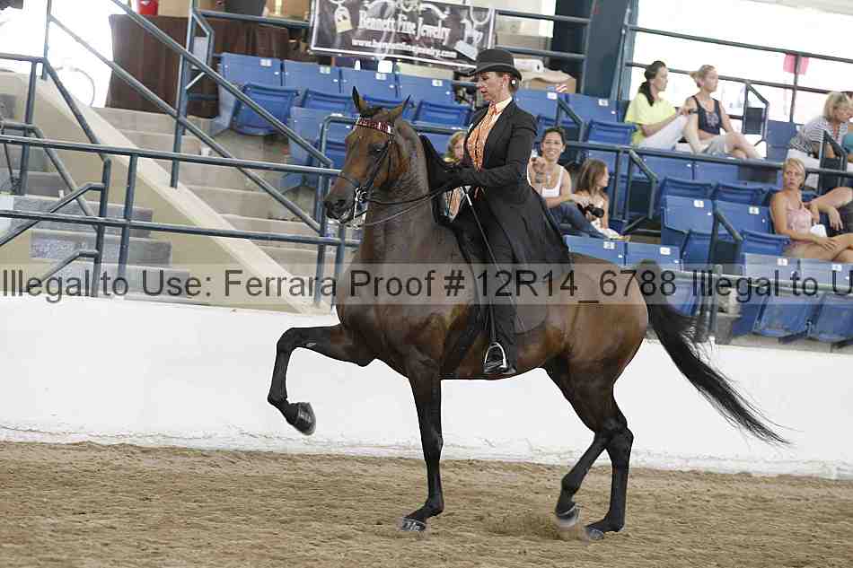 Proof Number 12r14_6788