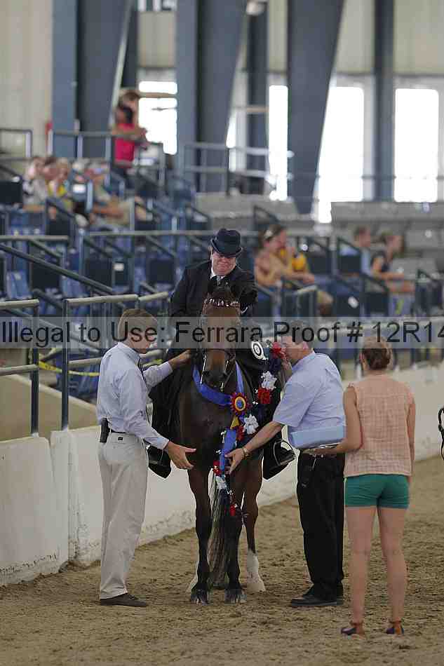 Proof Number 12r14_6802