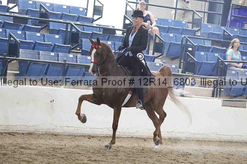 Proof Number 12r14_6803