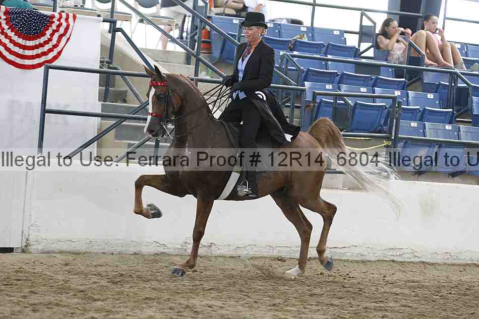 Proof Number 12r14_6804
