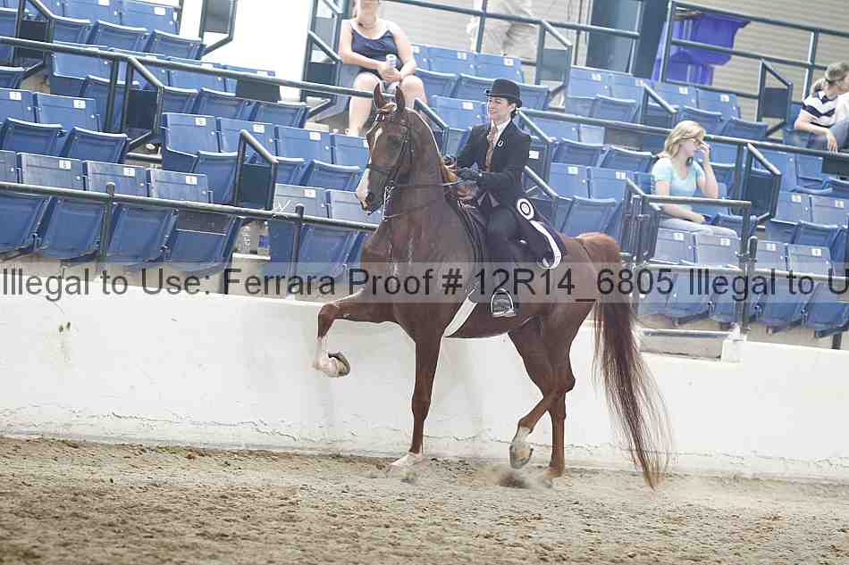 Proof Number 12r14_6805