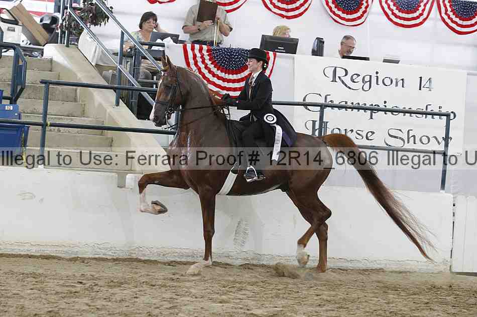Proof Number 12r14_6806