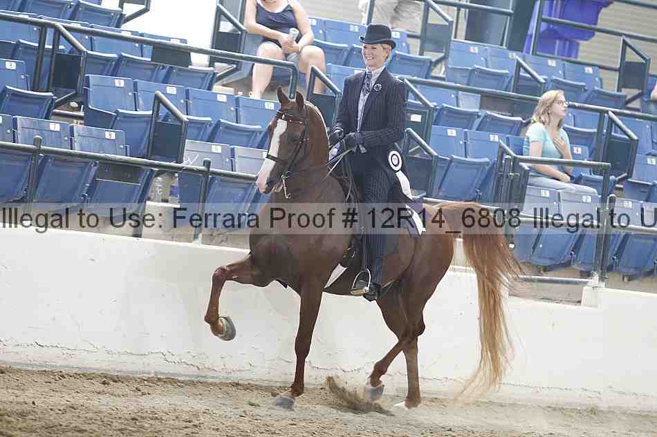 Proof Number 12r14_6808