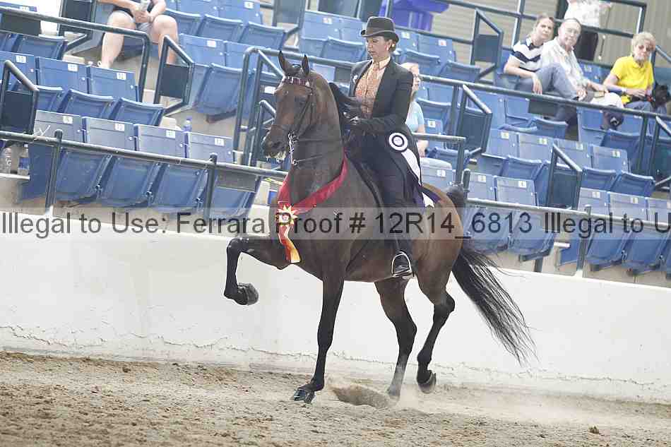 Proof Number 12r14_6813