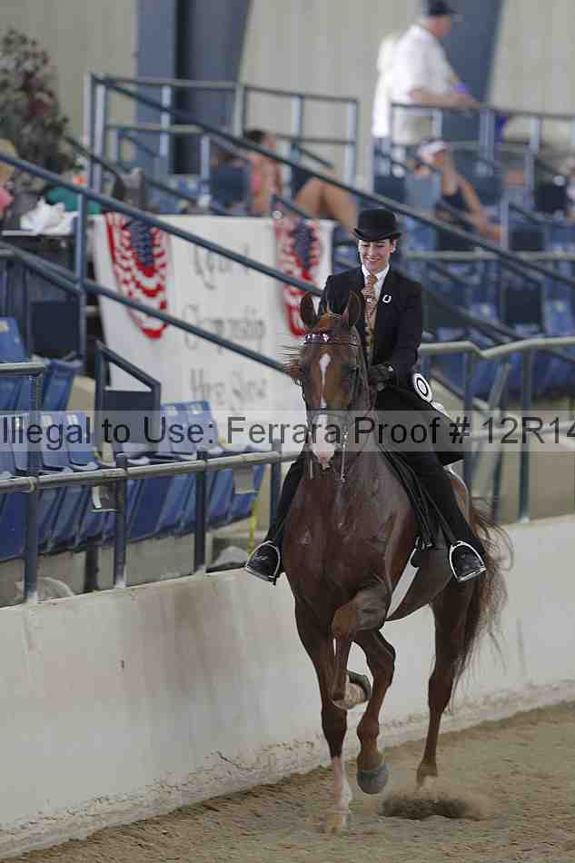 Proof Number 12r14_6816
