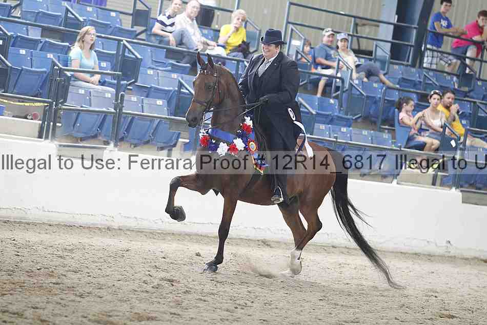 Proof Number 12r14_6817