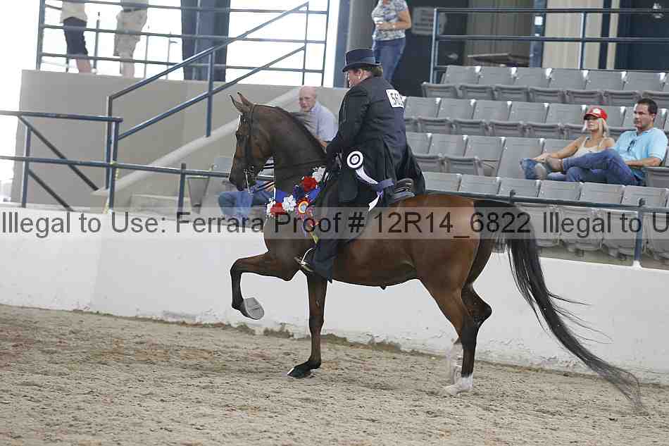 Proof Number 12r14_6822