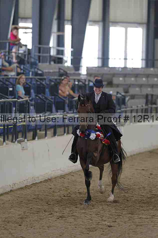Proof Number 12r14_6825