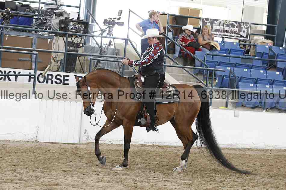 Proof Number 12r14_6838