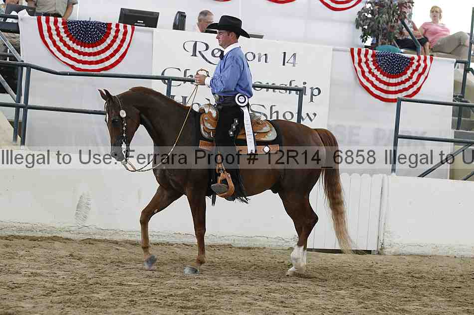 Proof Number 12r14_6858