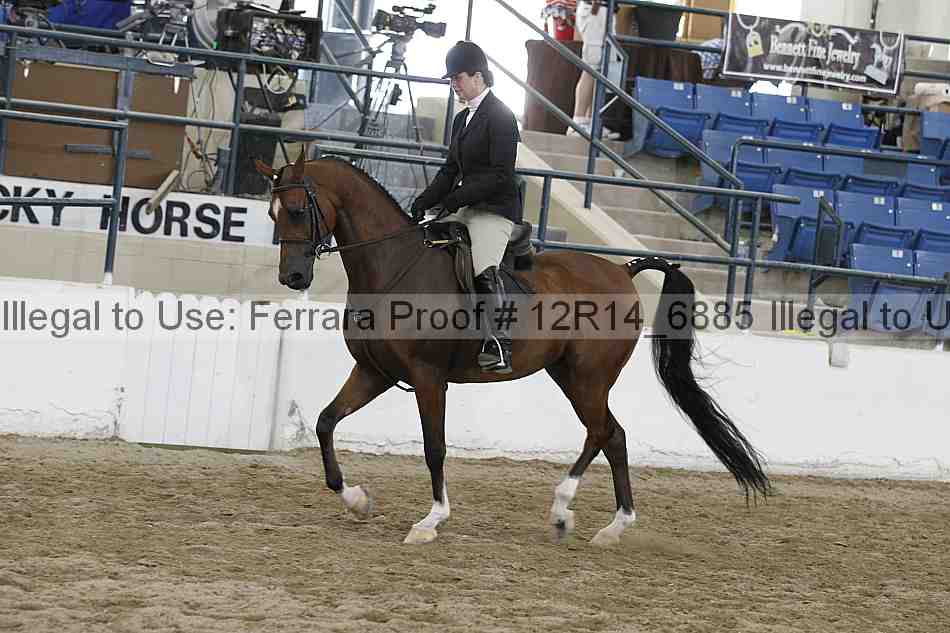 Proof Number 12r14_6885