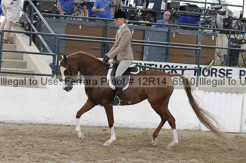 Proof Number 12r14_6910