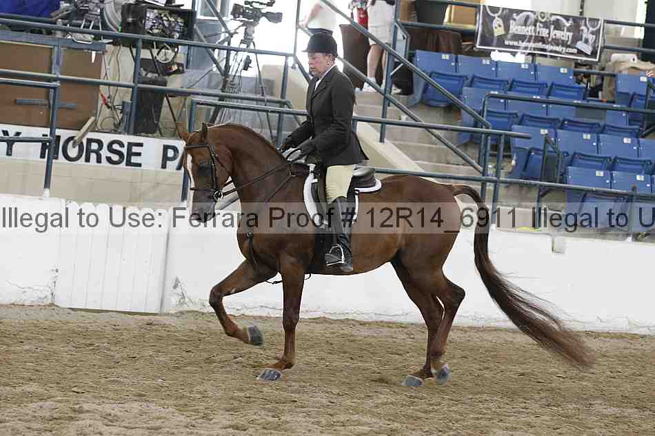 Proof Number 12r14_6911