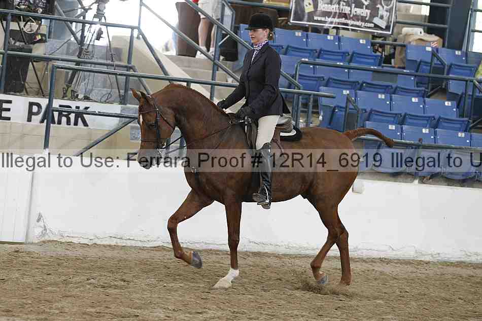 Proof Number 12r14_6919