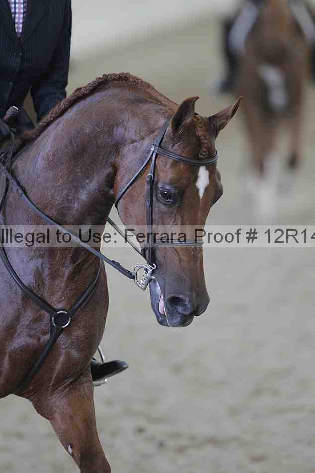 Proof Number 12r14_6922