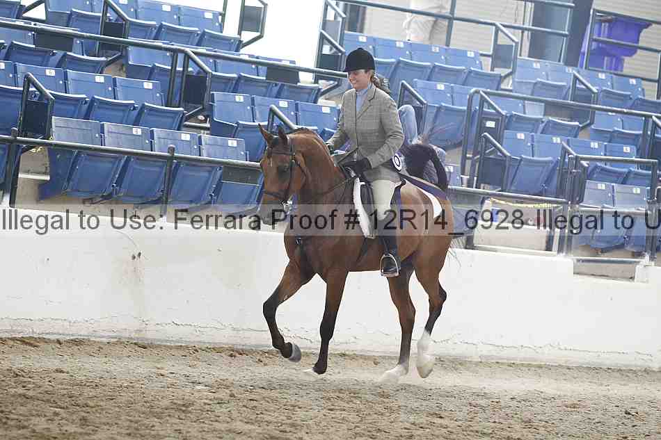 Proof Number 12r14_6928