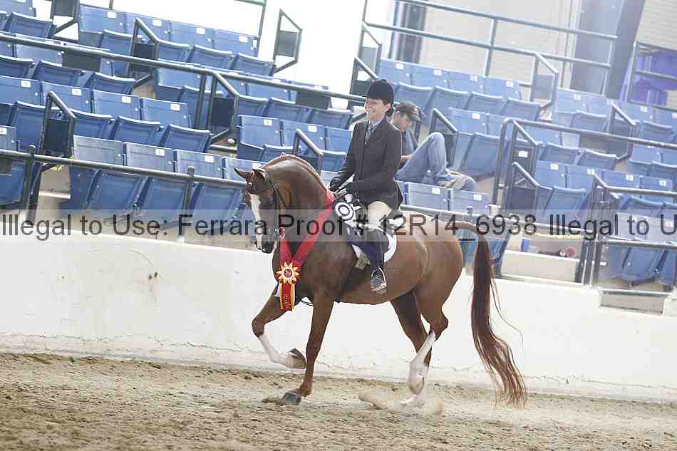 Proof Number 12r14_6938