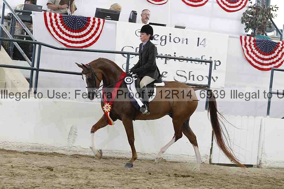 Proof Number 12r14_6939