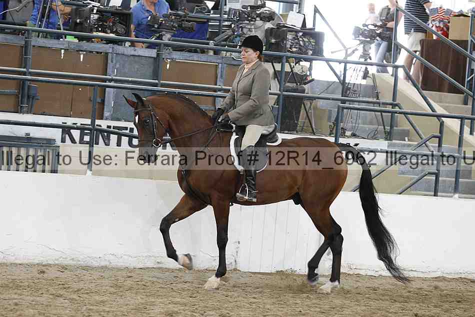 Proof Number 12r14_6962