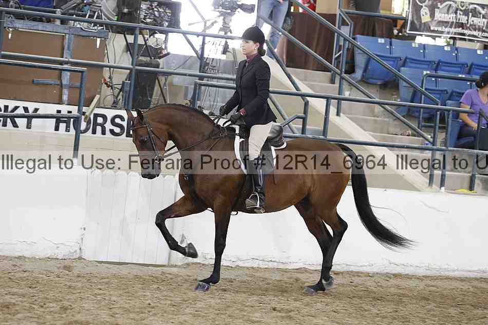 Proof Number 12r14_6964