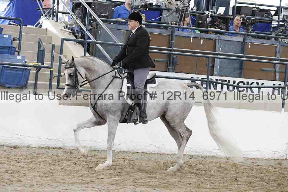 Proof Number 12r14_6971
