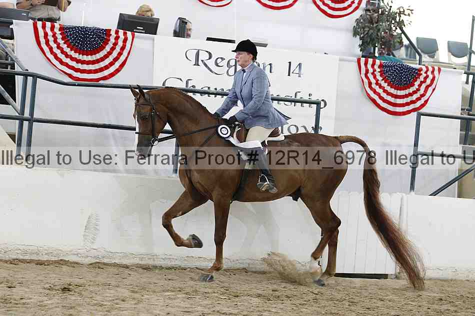 Proof Number 12r14_6978