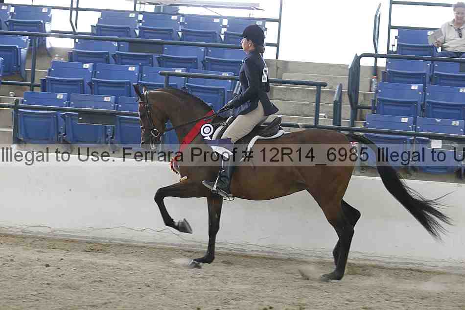 Proof Number 12r14_6985