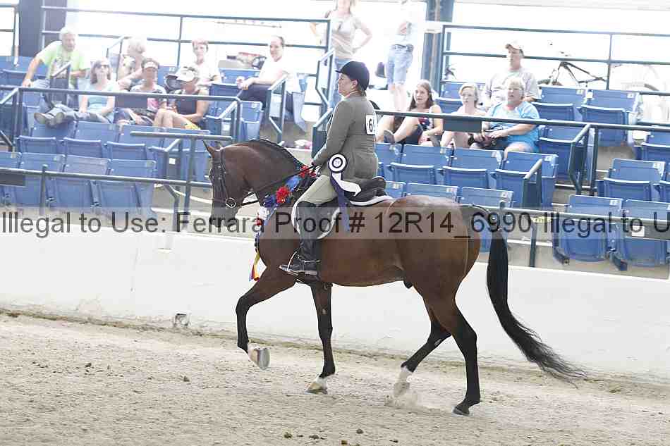 Proof Number 12r14_6990