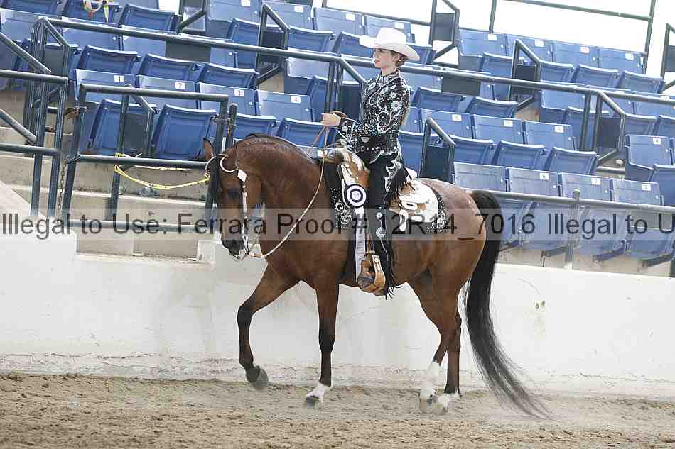 Proof Number 12r14_7016