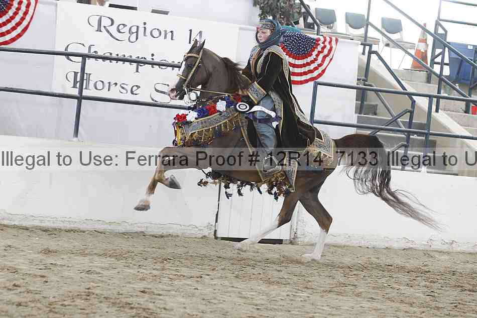 Proof Number 12r14_7133