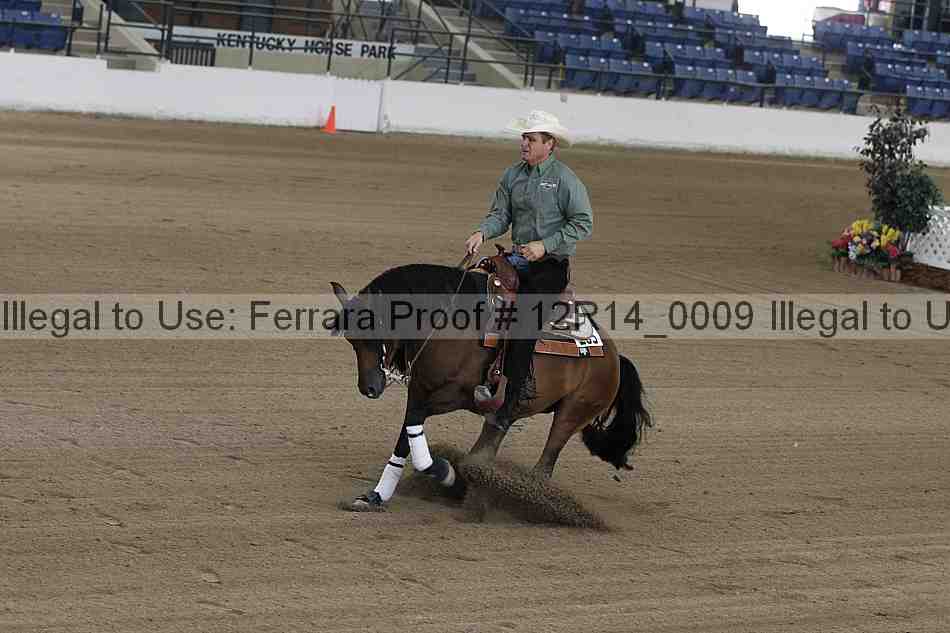 Proof Number 12r14_0009