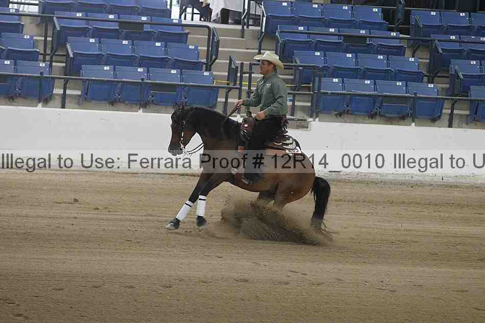 Proof Number 12r14_0010