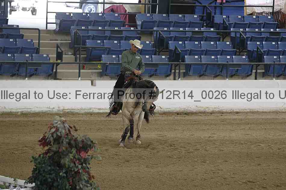 Proof Number 12r14_0026