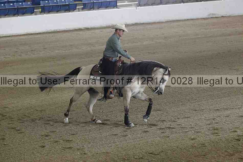 Proof Number 12r14_0028