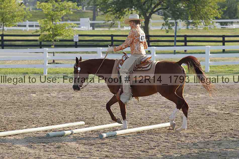 Proof Number 12r14_1793