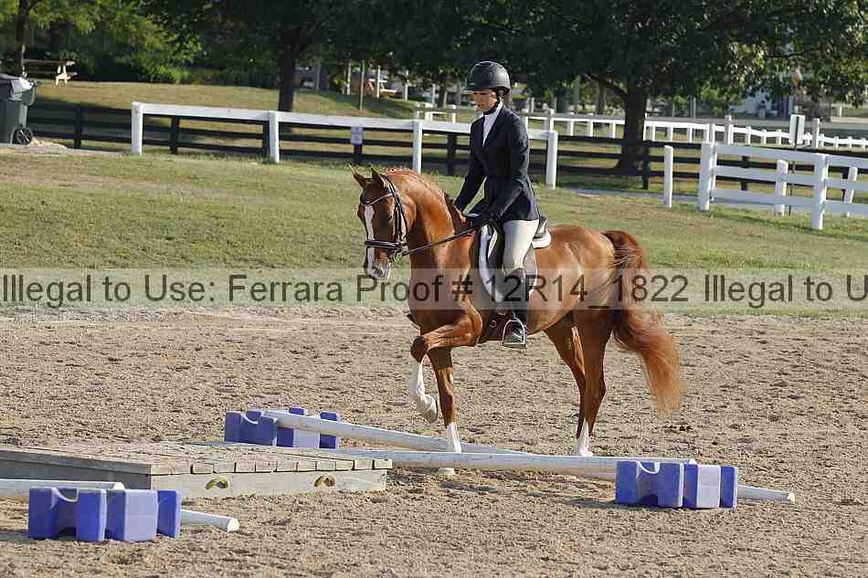 Proof Number 12r14_1822