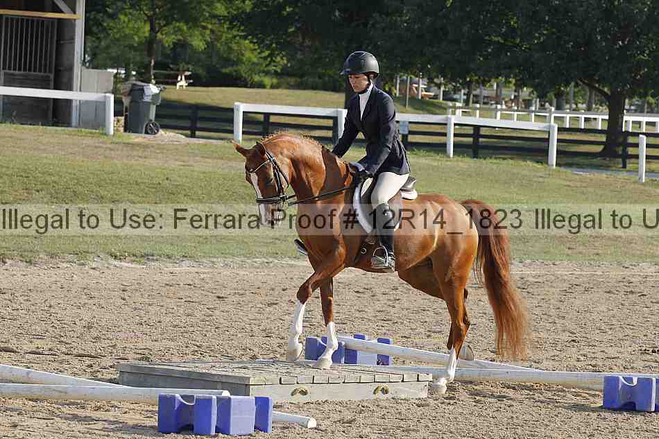 Proof Number 12r14_1823