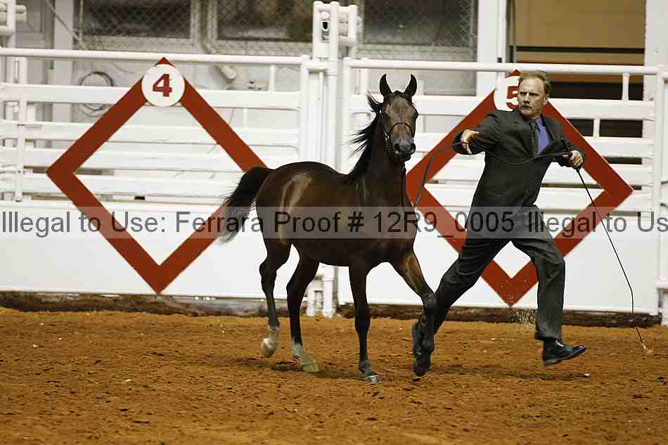Proof Number 12r9_0005