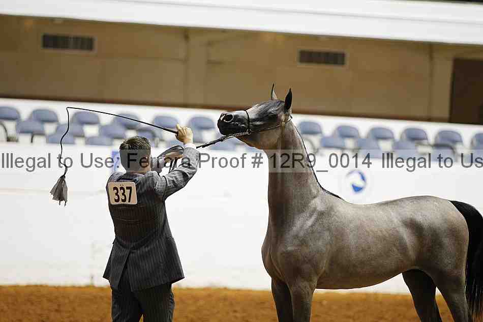 Proof Number 12r9_0014