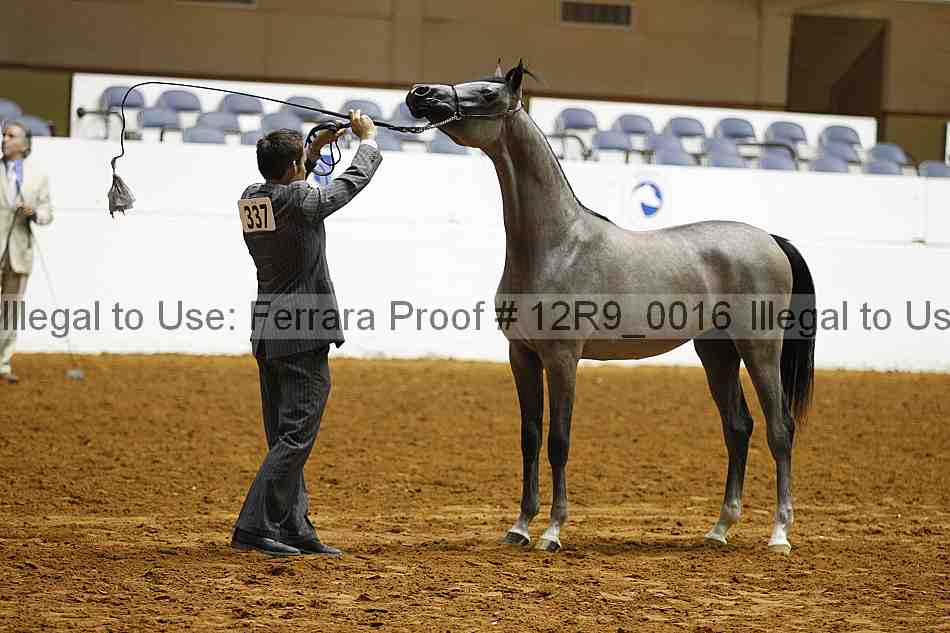 Proof Number 12r9_0016