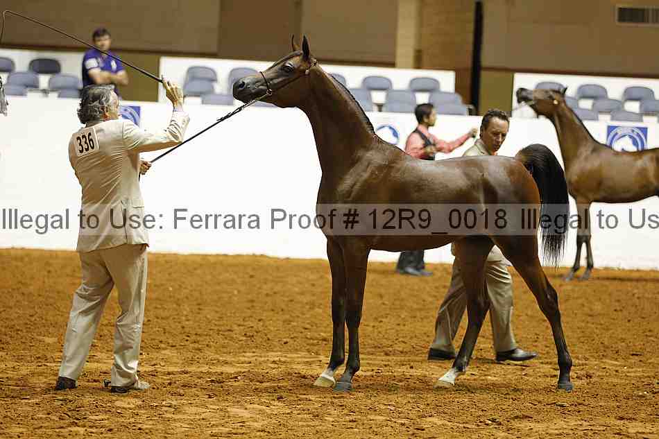 Proof Number 12r9_0018