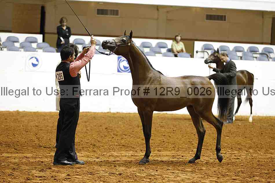 Proof Number 12r9_0026