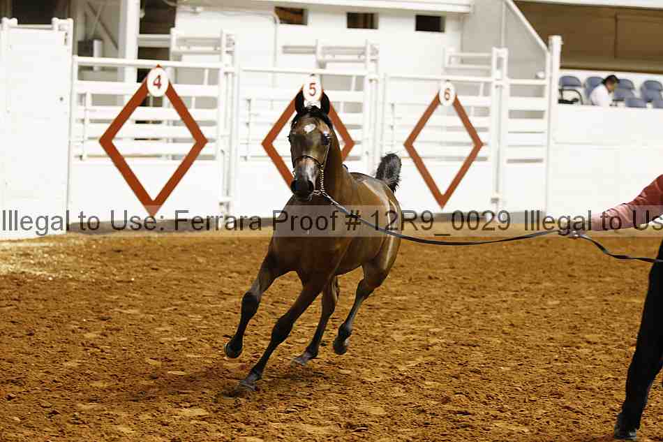 Proof Number 12r9_0029