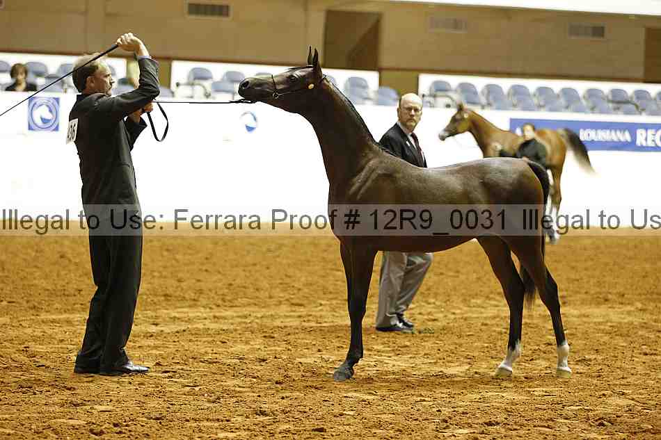 Proof Number 12r9_0031