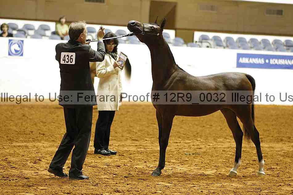 Proof Number 12r9_0032