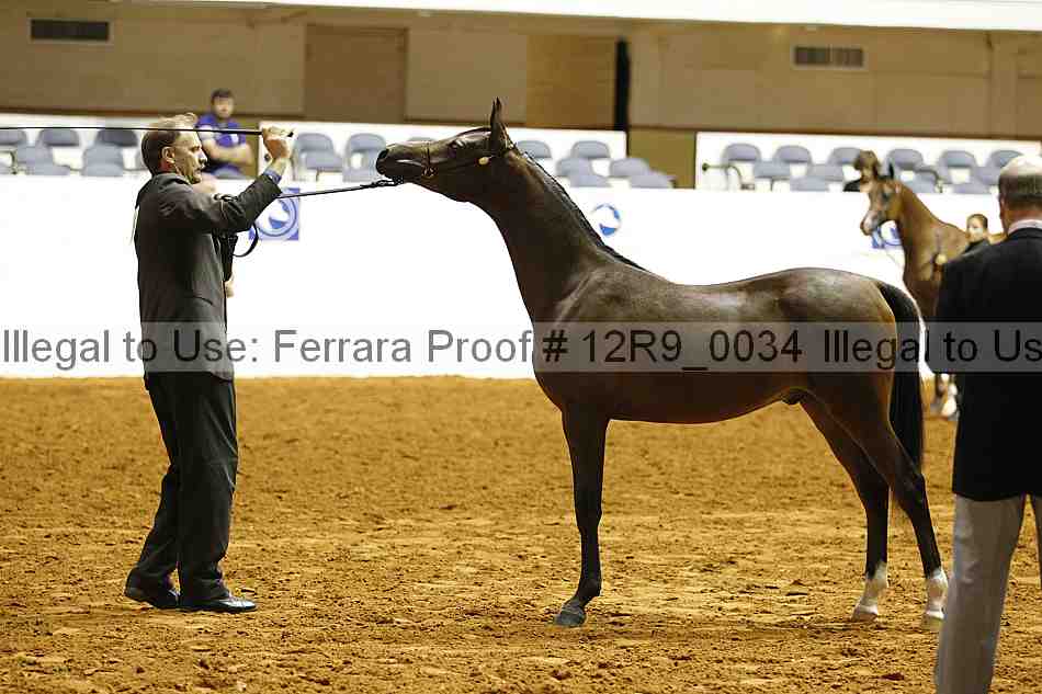 Proof Number 12r9_0034