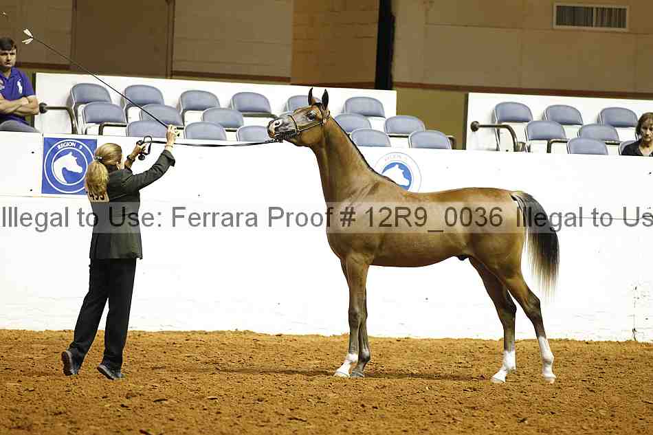 Proof Number 12r9_0036