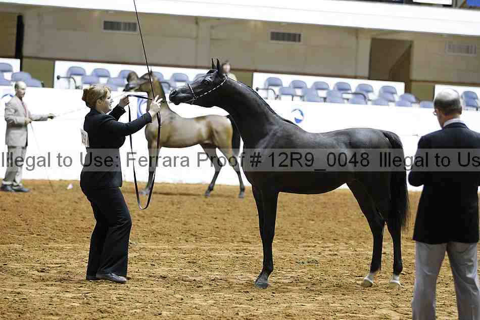 Proof Number 12r9_0048