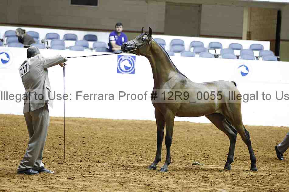 Proof Number 12r9_0055