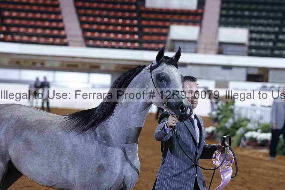 Proof Number 12r9_0079